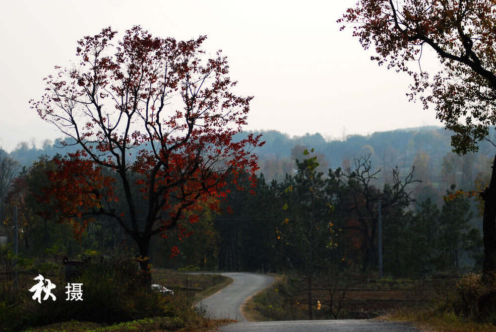 dsc_0355.jpg