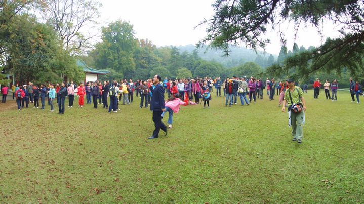 dsc08995.jpg