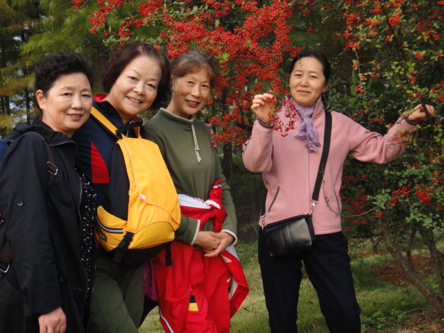 dsc09012.jpg