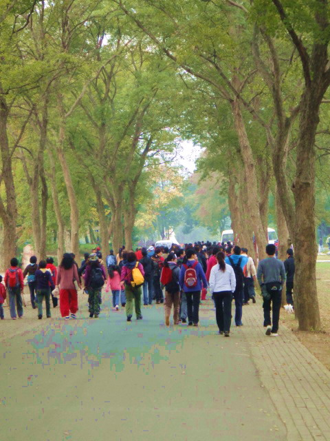 dsc08998.jpg
