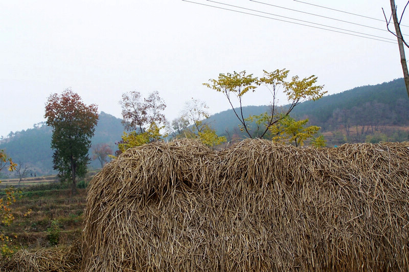 100_9342.jpg