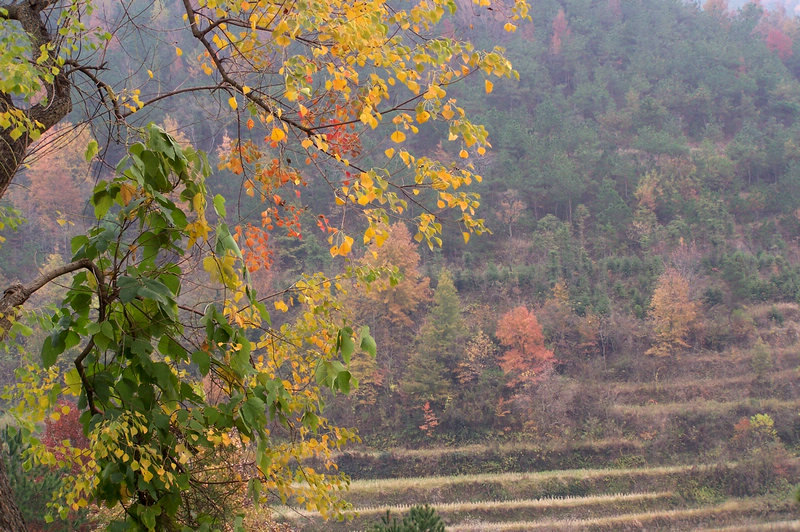 100_9384.jpg