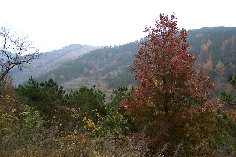 100_9390.jpg
