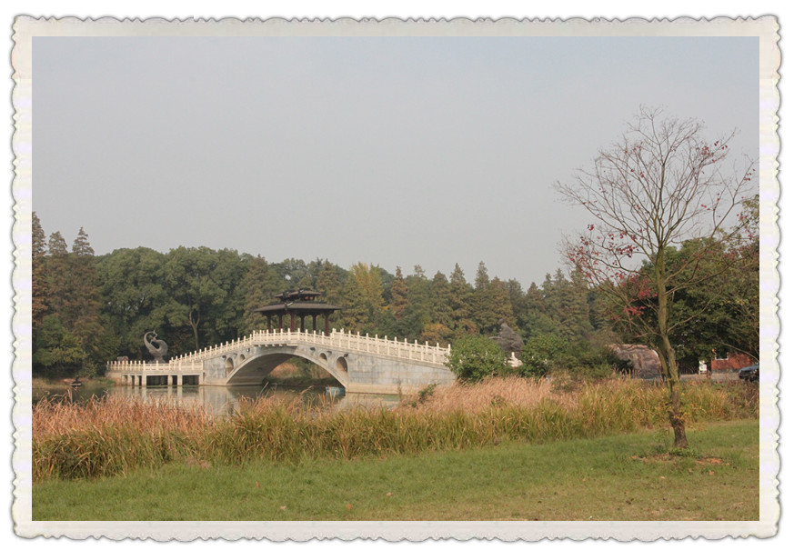 20111116.jpg