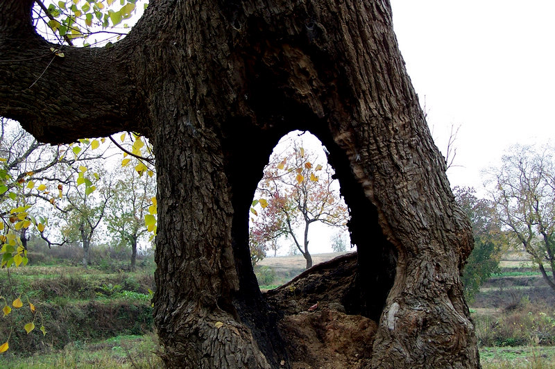 100_9406.jpg