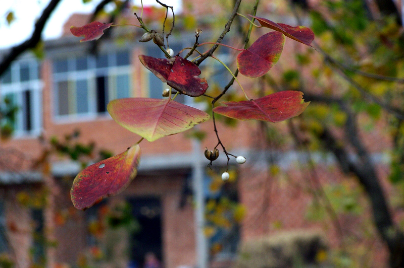 100_9416.jpg