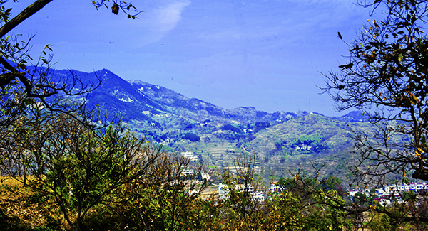 _dsc8149a.jpg