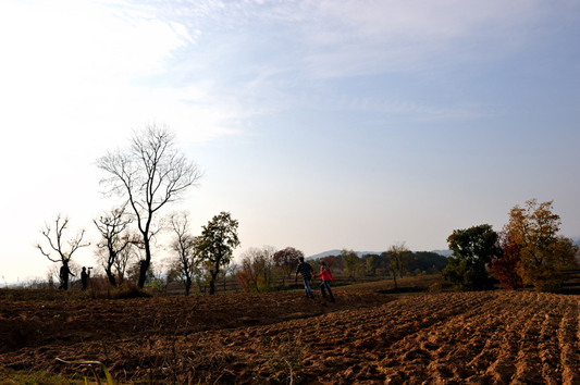 dsc_8907.jpg