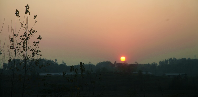 img_2686.jpg
