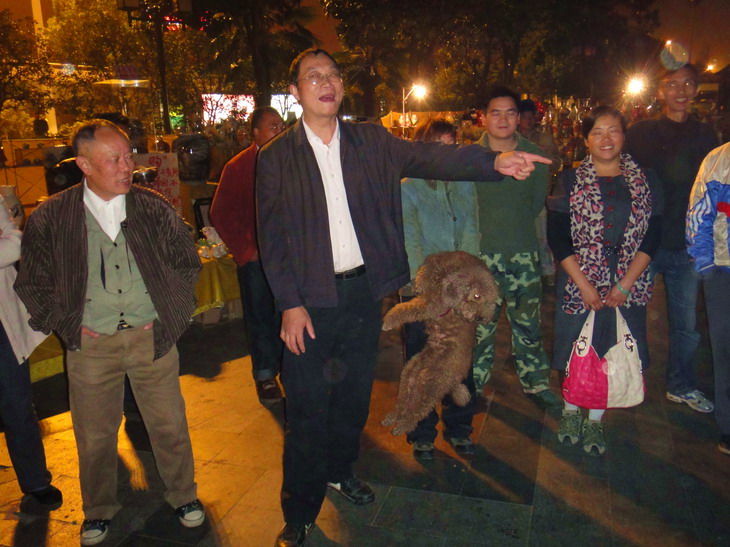 dsc09110.jpg