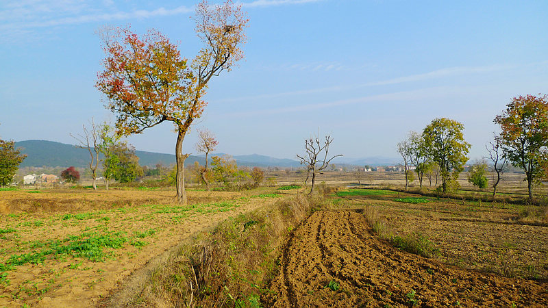 p1120719.jpg