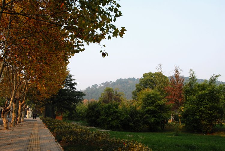 dsc_0181.jpg