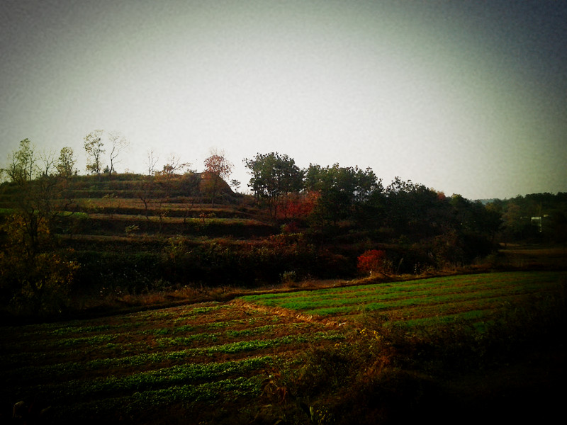 2011-11-12 15.21.51_.jpg
