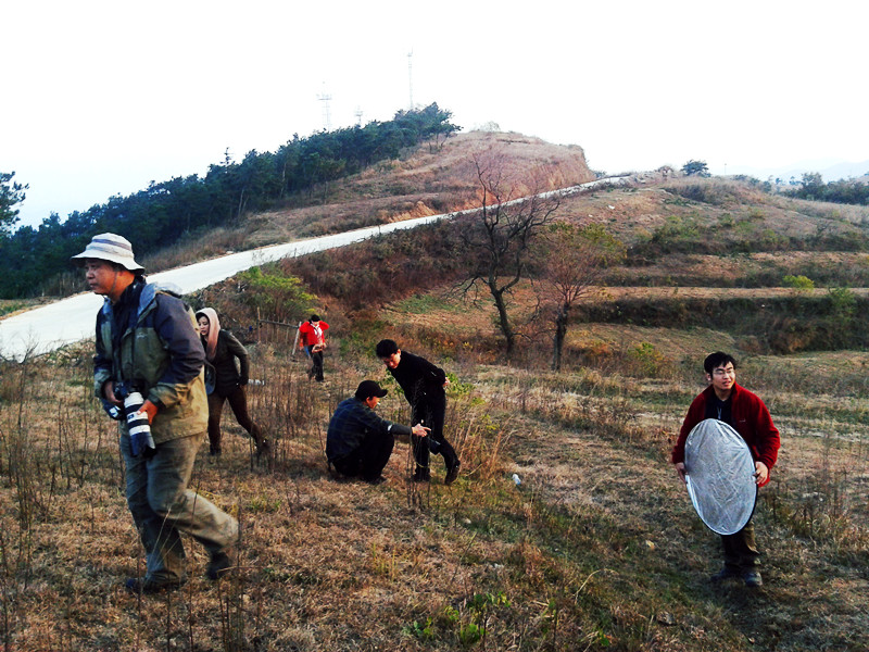 2011-11-12 17.00.00_.jpg