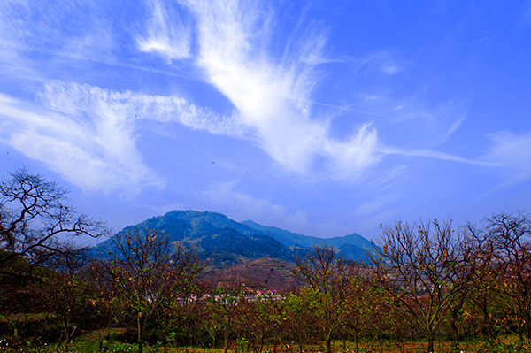 _dsc8259a.jpg