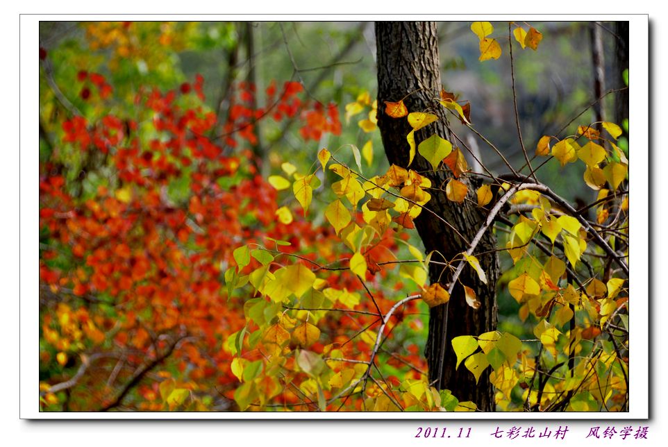 neo_img_dsc_0229.jpg