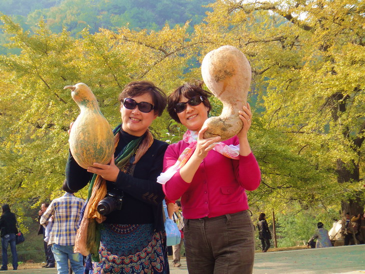 dsc08839.jpg