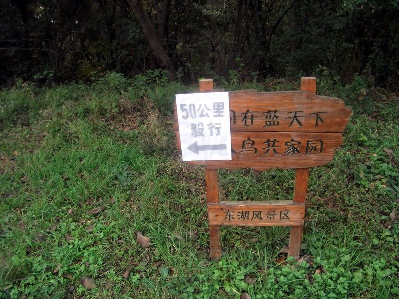 dscf0172.jpg