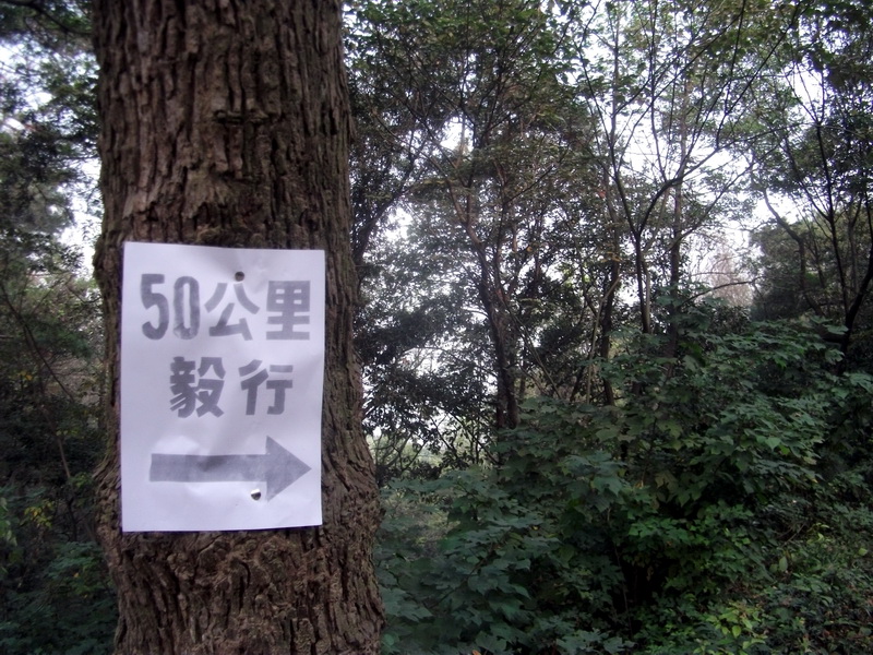 dscf0175.jpg