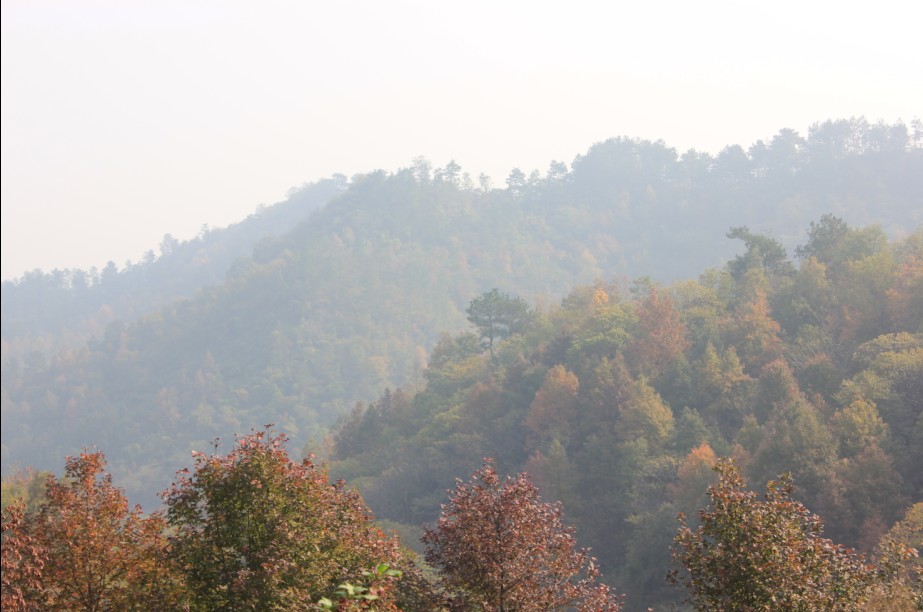 124.jpg