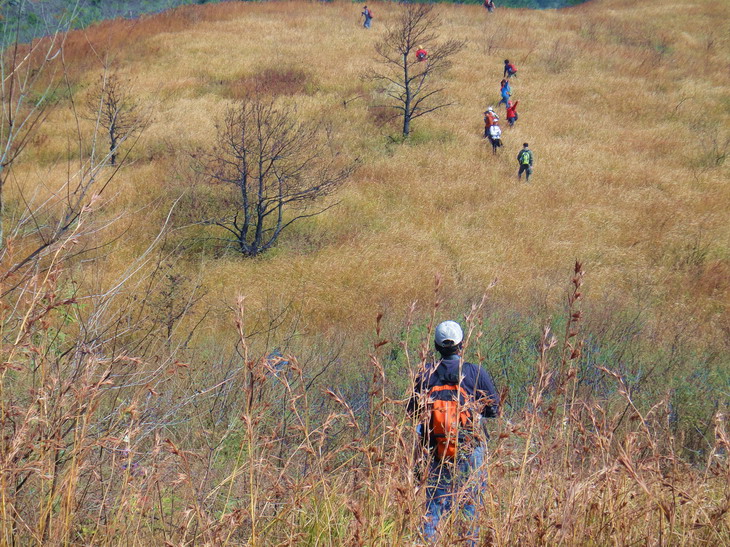 dsc09316.jpg