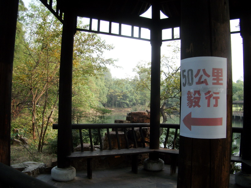 dscf0207.jpg