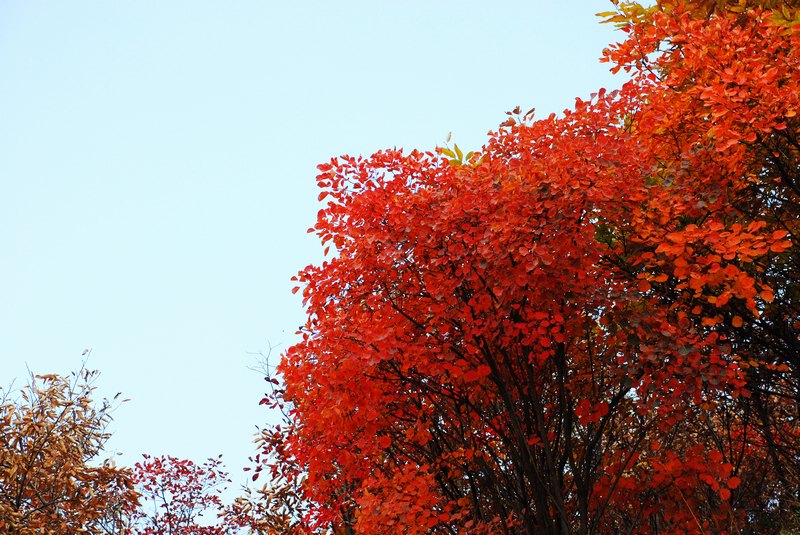 dsc_0345.jpg