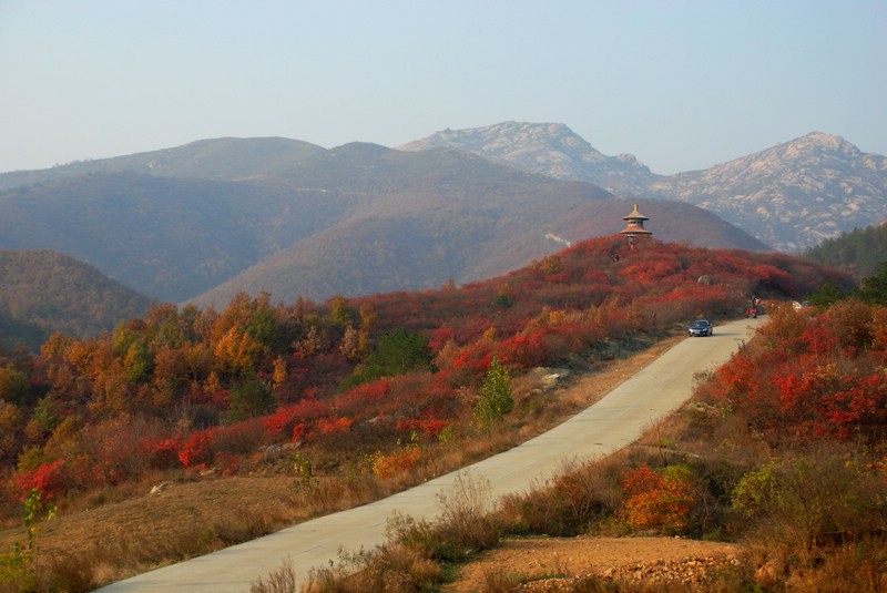 dsc_0416.jpg