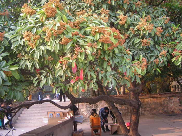 pict0090-1.jpg