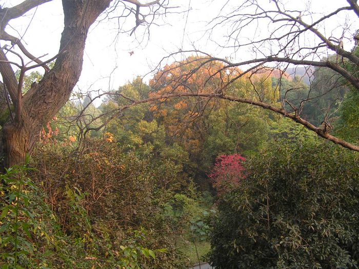 pict0047-1.jpg