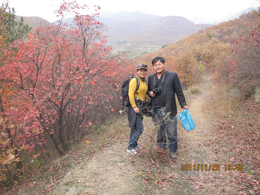 img_0734.jpg