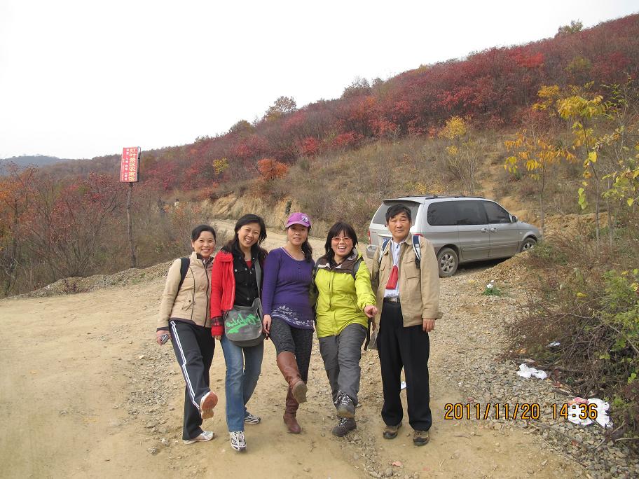 img_0803.jpg