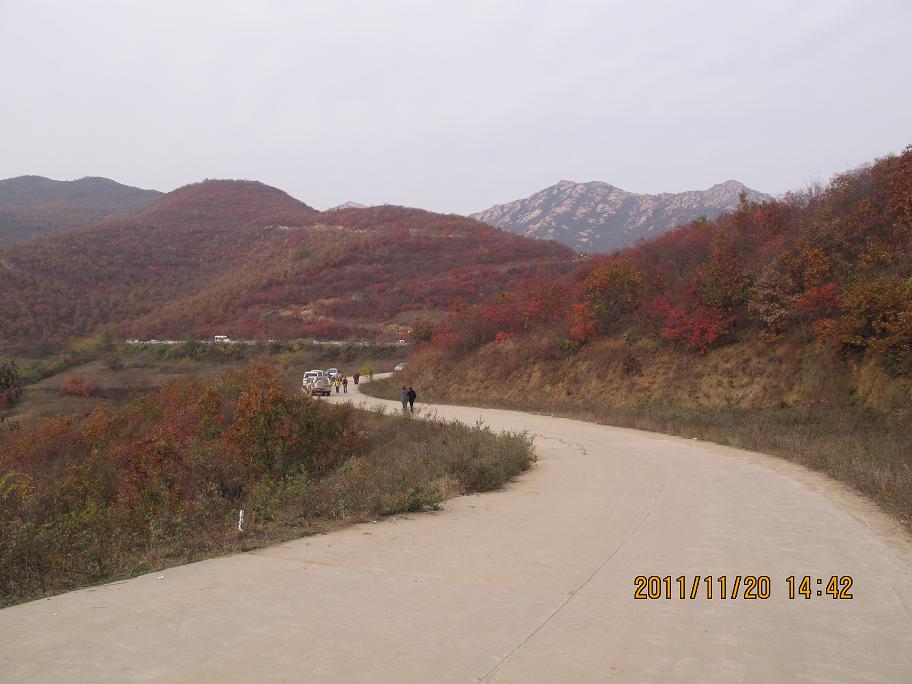 img_0807.jpg