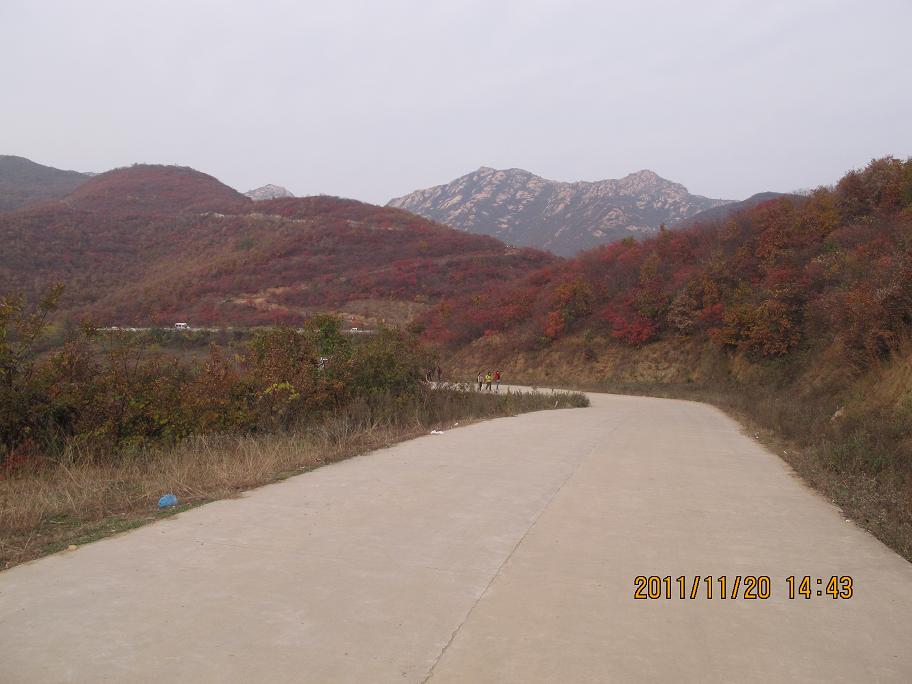 img_0808.jpg