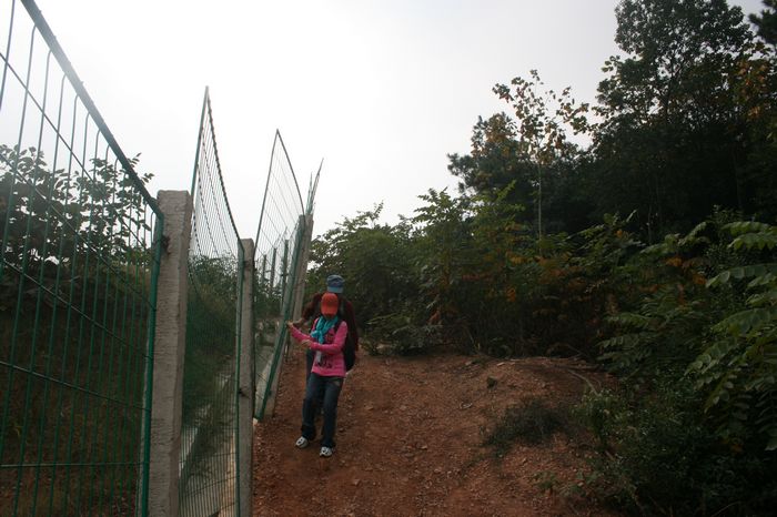 Ľ50d90Ƭ 371.jpg