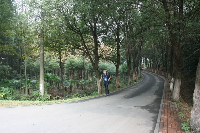 Ľ50d90Ƭ 381.jpg