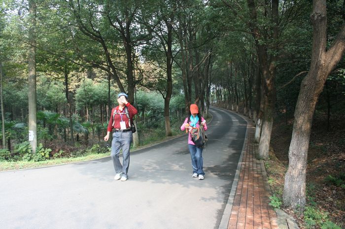 Ľ50d90Ƭ 386.jpg