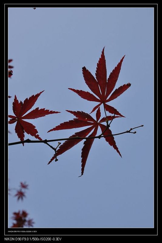 50ͽ---114.jpg