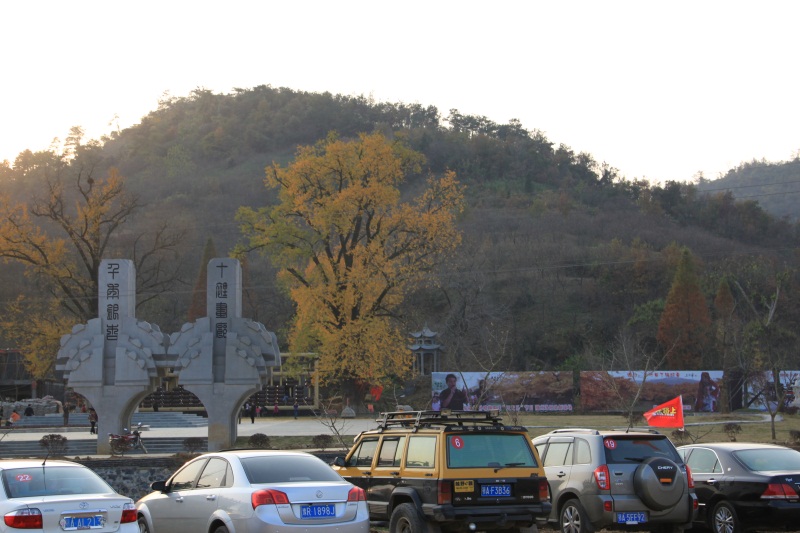 img_8370.jpg