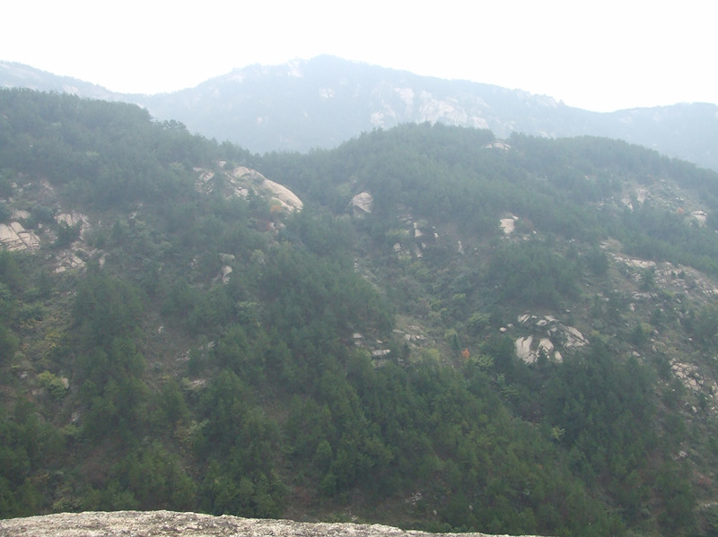dscf0050_.jpg