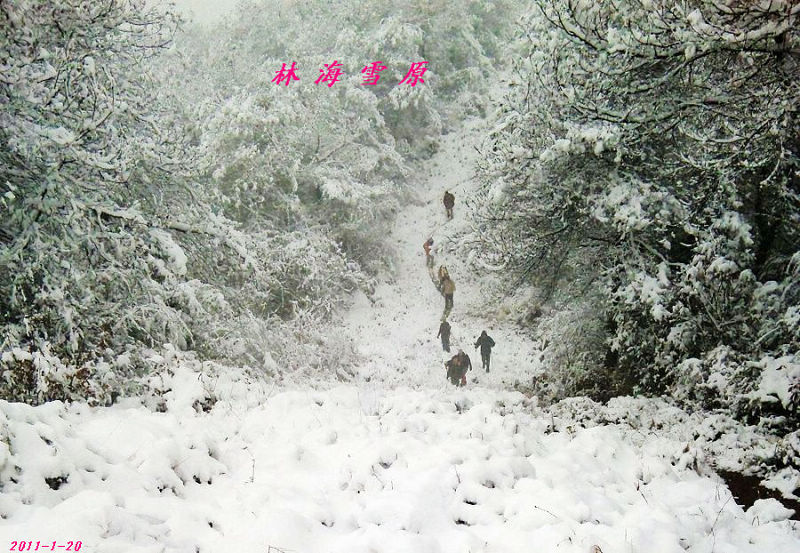 ޱ-ѩɽ2011-01-20--.jpg