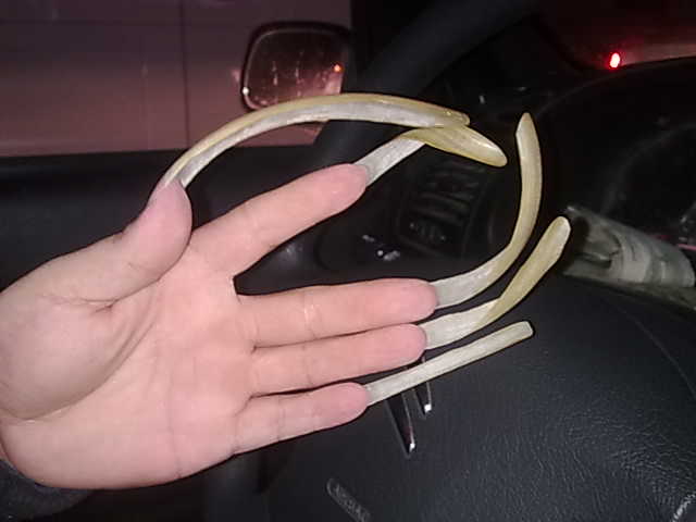 20111122091.jpg