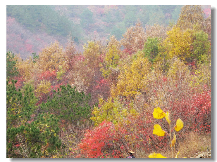 20111120 009.jpg