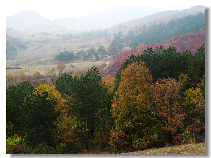 20111120 012.jpg