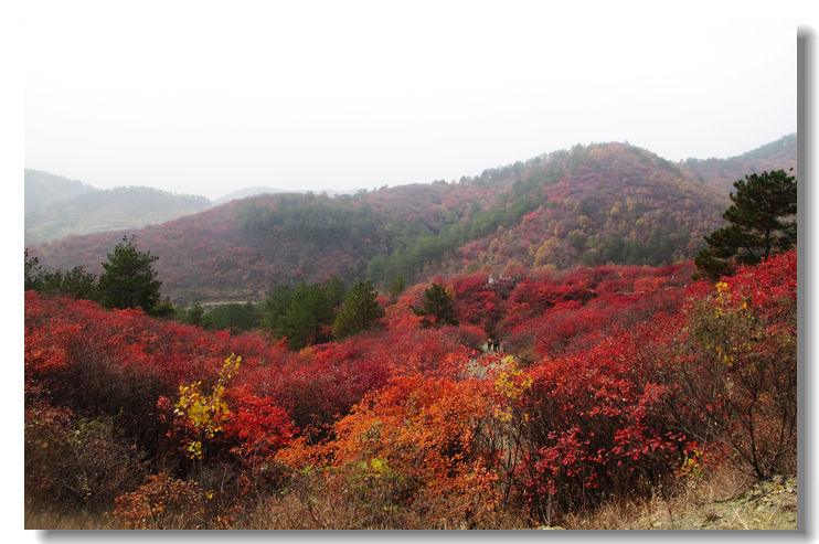 20111120 039.jpg