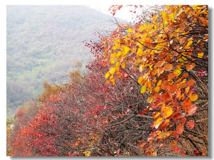 20111120 068.jpg