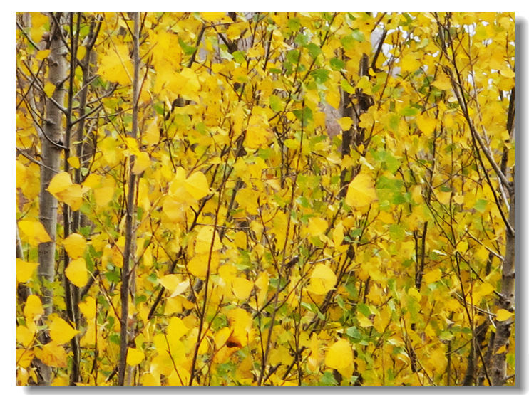 20111120 053.jpg