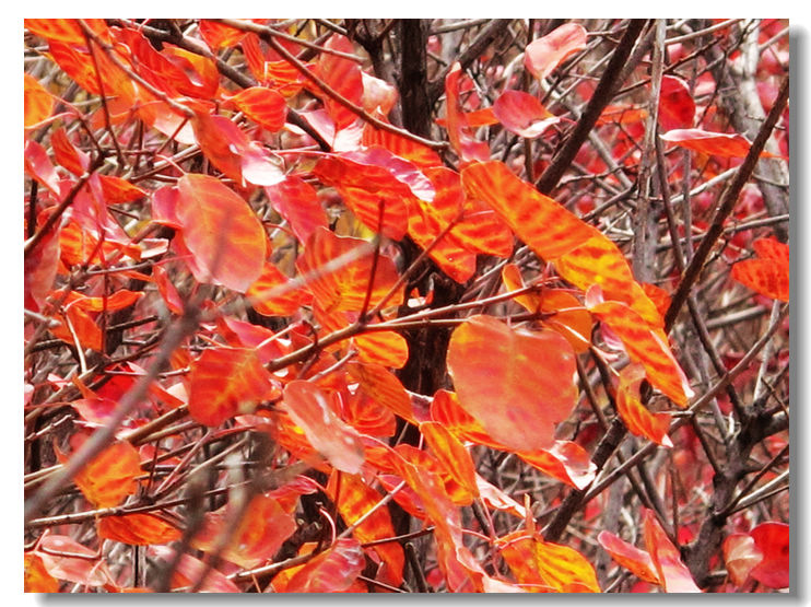 20111120 063.jpg