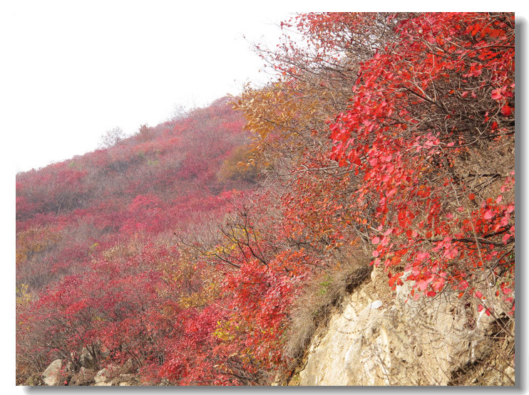 20111120 066.jpg