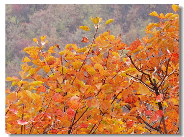 20111120 072.jpg